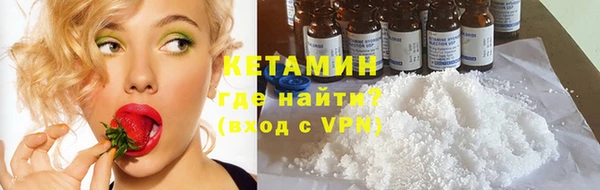 прущие грибы Балахна