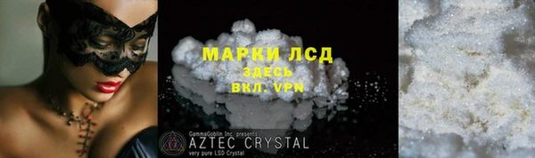 прущие грибы Балахна