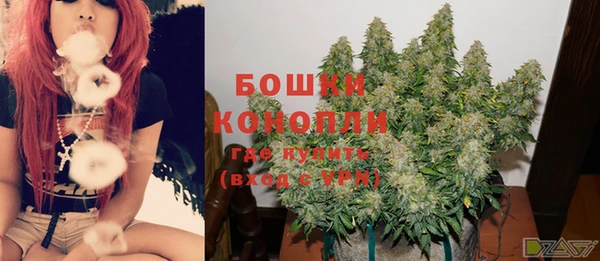 прущие грибы Балахна