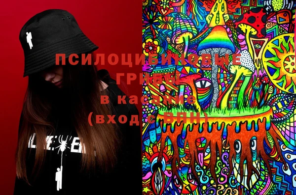 молекула духа Баксан